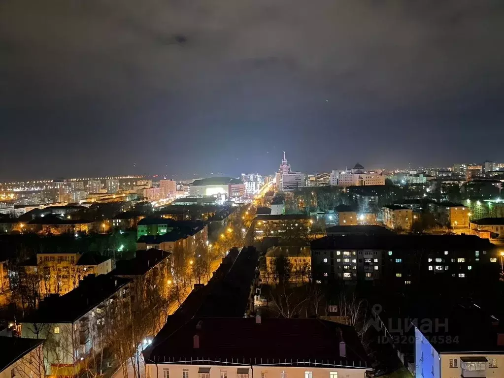 2-к кв. Мордовия, Саранск ул. Васенко, 7Гк1 (68.0 м) - Фото 2