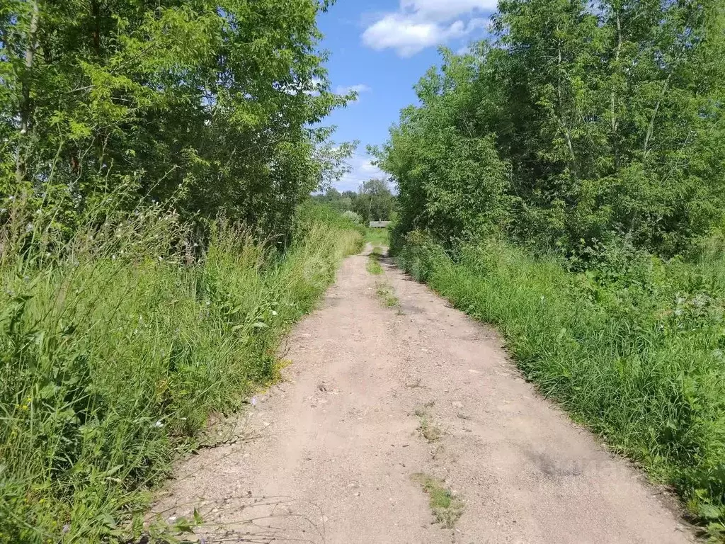 Участок в Смоленская область, Смоленск пос. Красный Бор, ул. ... - Фото 0