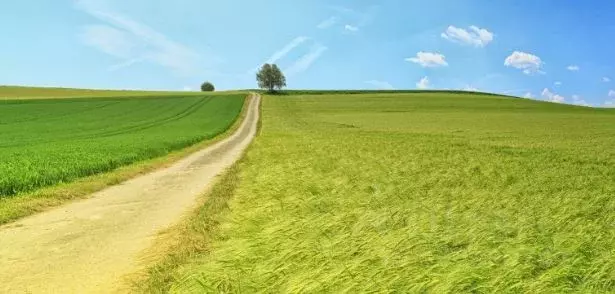 Участок в Саратовская область, Энгельс муниципальное образование, ... - Фото 0
