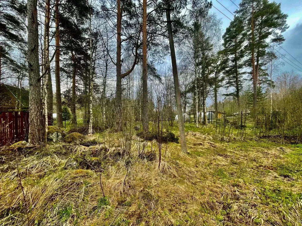 Участок в Ленинградская область, Приозерский район, Ларионовское ... - Фото 1