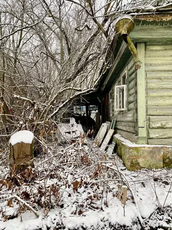 Участок в Москва Первомайское поселение, д. Фоминское, 36 (10.0 сот.) - Фото 1