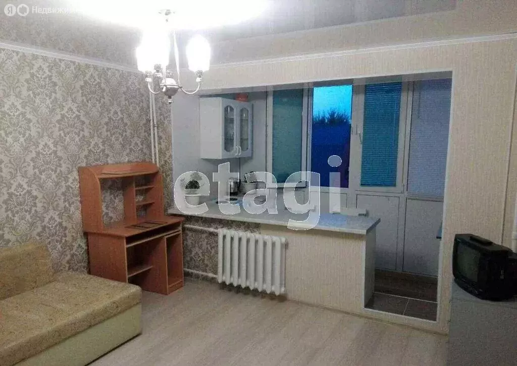 1-комнатная квартира: Тюмень, улица Бабарынка, 16Б (20 м) - Фото 1