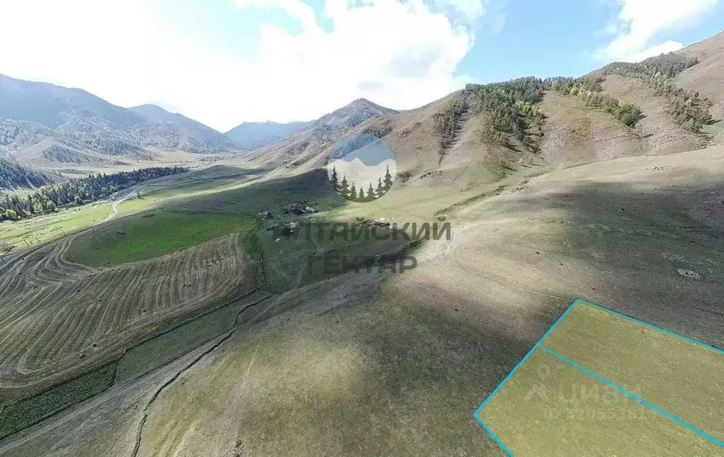 Участок в Алтай, Онгудайский район, с. Купчегень  (13.81 сот.) - Фото 1