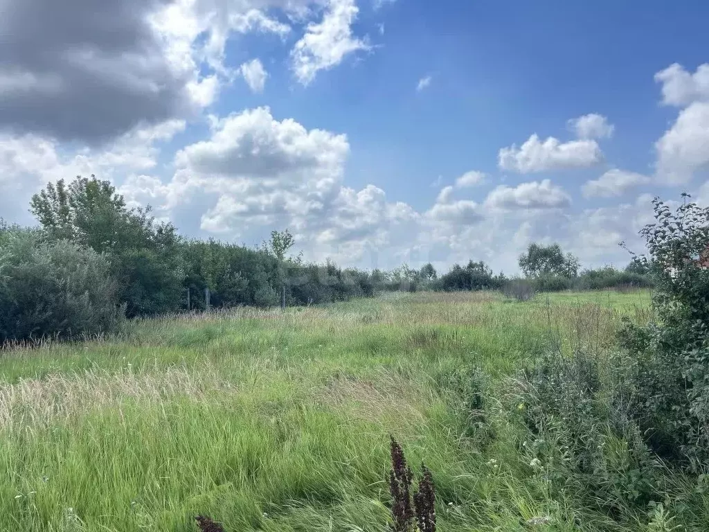 Участок в Воронежская область, Хохольский район, с. Новогремяченское ... - Фото 2