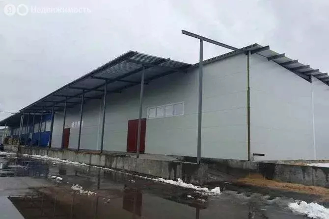 Помещение свободного назначения (1200 м) - Фото 0