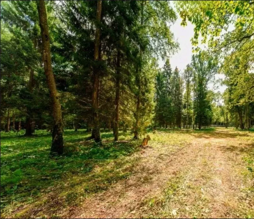 Участок в Московская область, Одинцовский городской округ, д. Жуковка ... - Фото 1