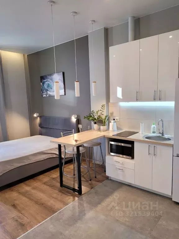 Студия Санкт-Петербург Тележная ул., 32 (25.0 м) - Фото 1