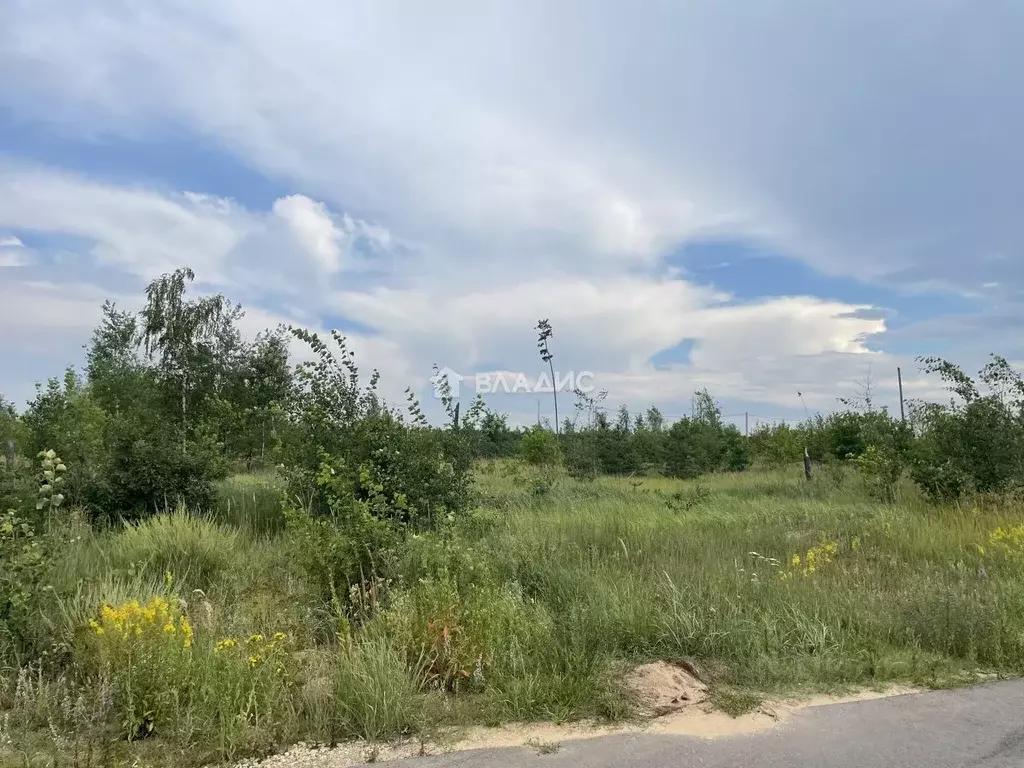 Участок в Воронежская область, Новоусманский район, с. Бабяково ул. ... - Фото 1