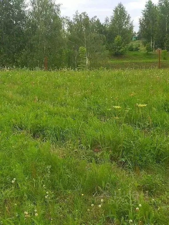 Участок в Рязанская область, Рязанский район, Вышгородское с/пос, с. ... - Фото 2
