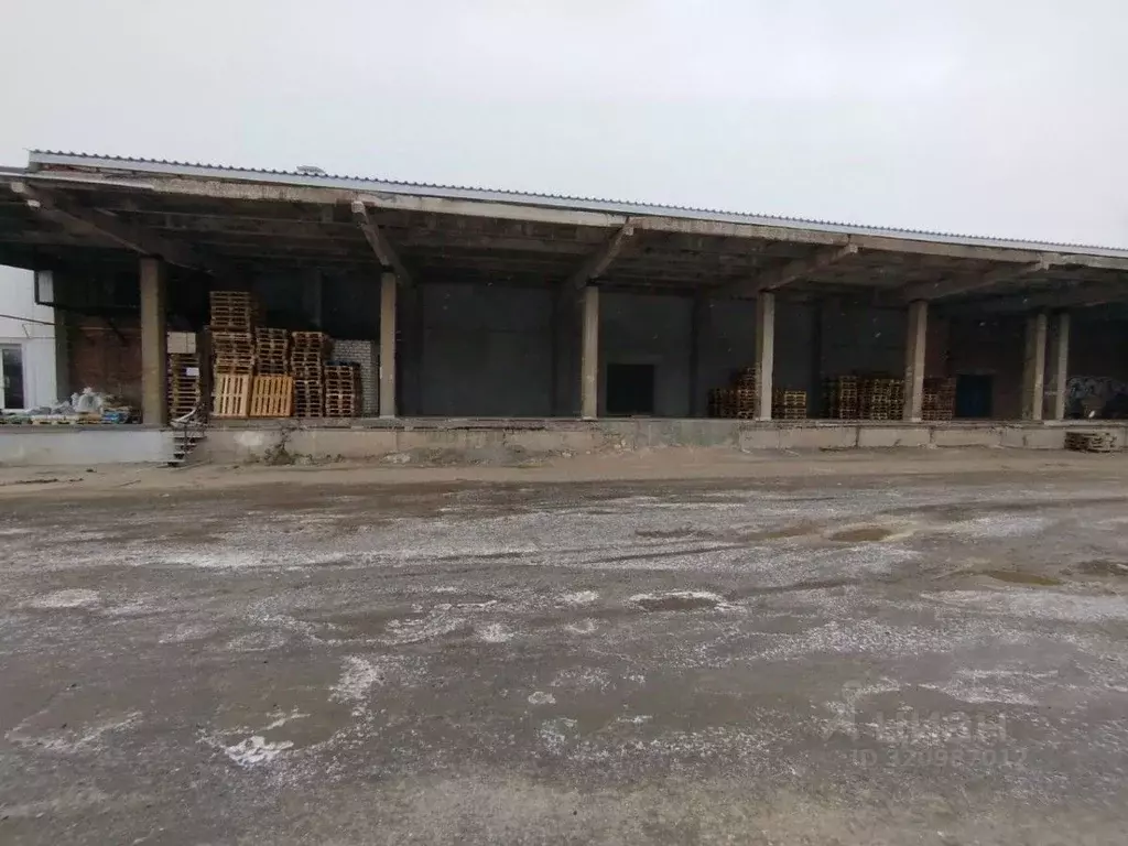 Склад в Самарская область, Кинель ул. Маяковского, 92 (300 м) - Фото 2