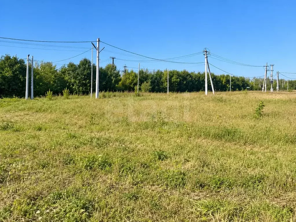 Участок в Воронежская область, с. Новая Усмань ул. Курская (26.97 ... - Фото 1