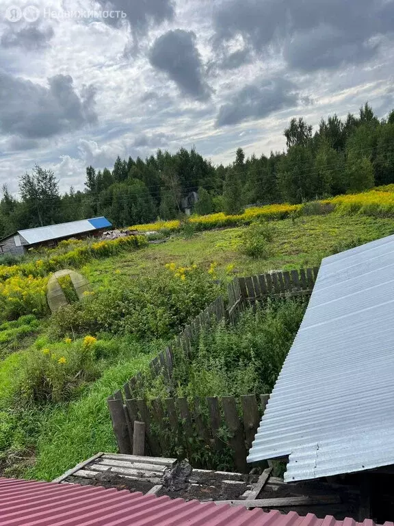 Участок в Нижегородская область, Бор (14 м) - Фото 2