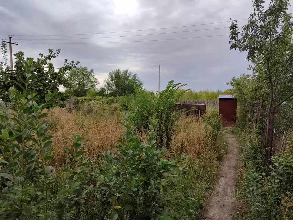 Дом в Самарская область, Сызрань Дорожная ул., 23 (135 м) - Фото 2
