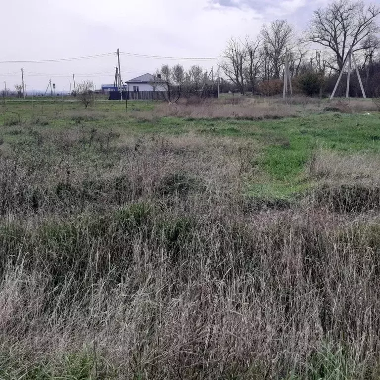 Участок в Краснодарский край, Анапа муниципальный округ, пос. ... - Фото 1