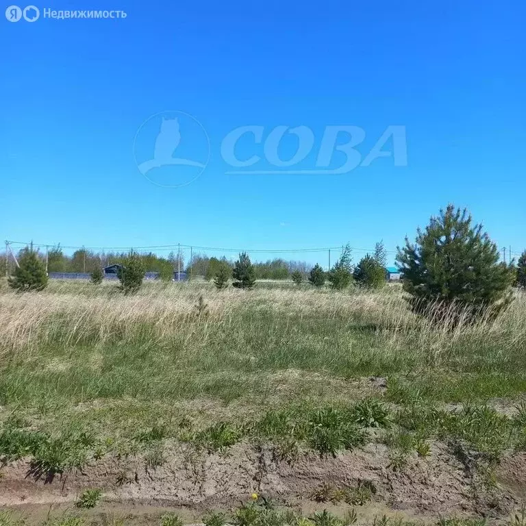 Участок в Тюменский район, село Борки (9 м) - Фото 0