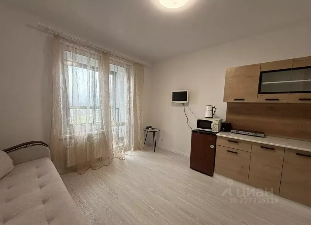 Студия Санкт-Петербург пос. Шушары, просп. Старорусский, 5к2 (19.0 м) - Фото 1