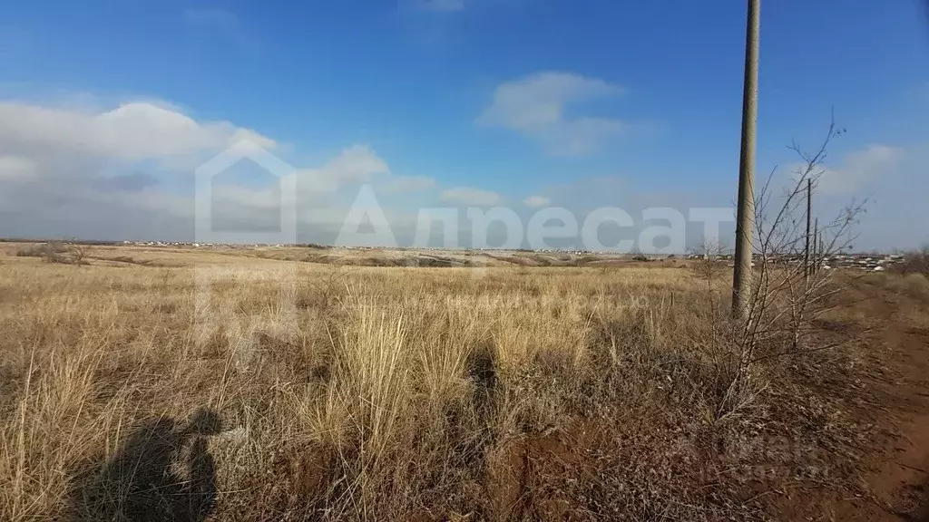 Участок в Волгоградская область, Городищенский район, Царицынское ... - Фото 1