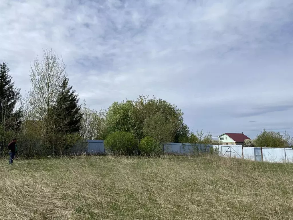 Участок в Татарстан, Лаишевский район, с. Державино ул. Вафина (1395.0 ... - Фото 2