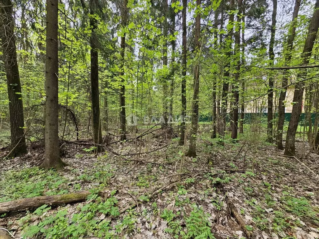 участок в московская область, наро-фоминский городской округ, новые . - Фото 0