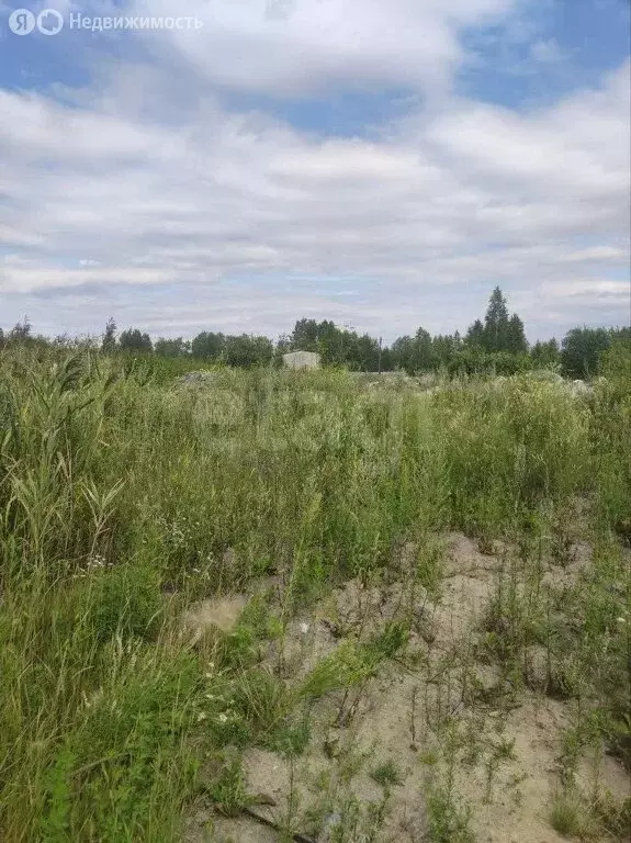 Участок в Тюмень, садовое товарищество Малинка (8 м) - Фото 1