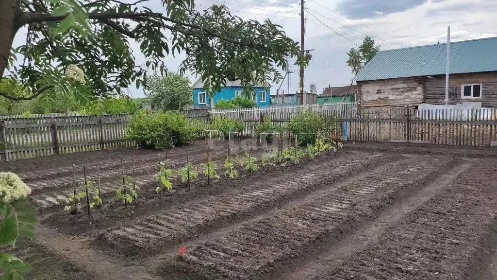 Дом в Тюменская область, Сладковский район, с. Лопазное Строительная ... - Фото 0