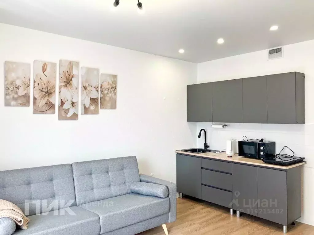 Студия Москва Муравская ул., 38Бк4 (23.7 м) - Фото 1