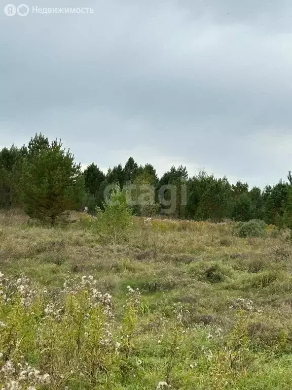 Участок в село Фирсово, жилой комплекс Палитра, улица Ильи Репина (8 ... - Фото 1