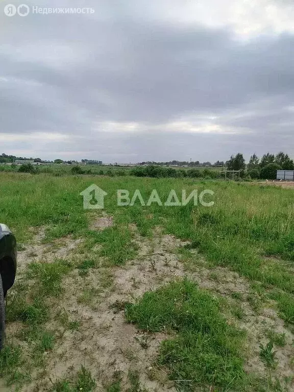 Участок в Беляницы, улица Дружбы (10 м) - Фото 1