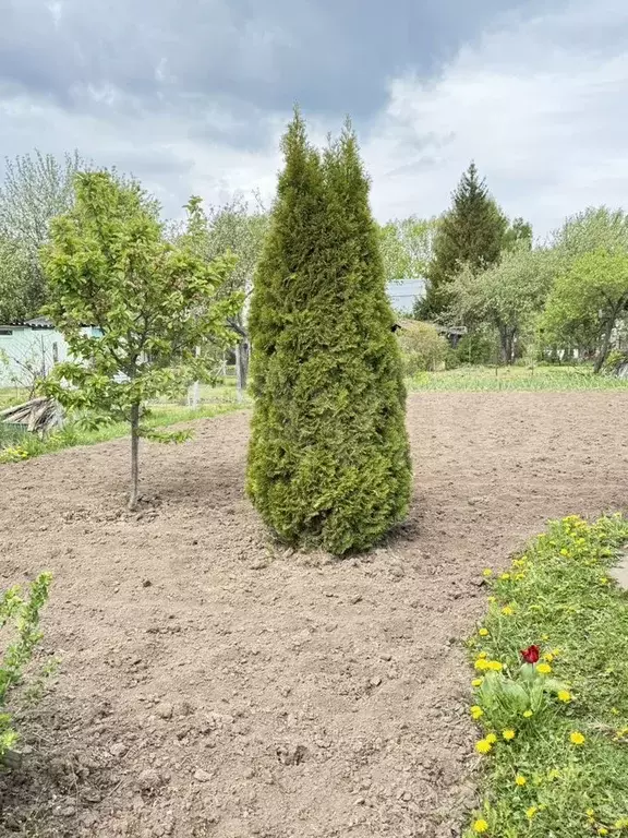 Дом 40 м на участке 6 сот. - Фото 0