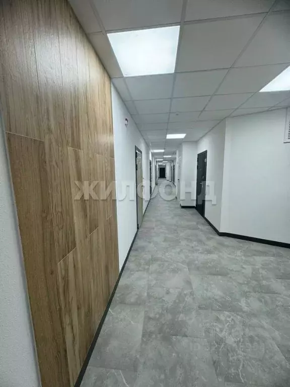 1-к кв. Новосибирская область, Новосибирск Ипподромская ул., 12 (36.48 ... - Фото 2