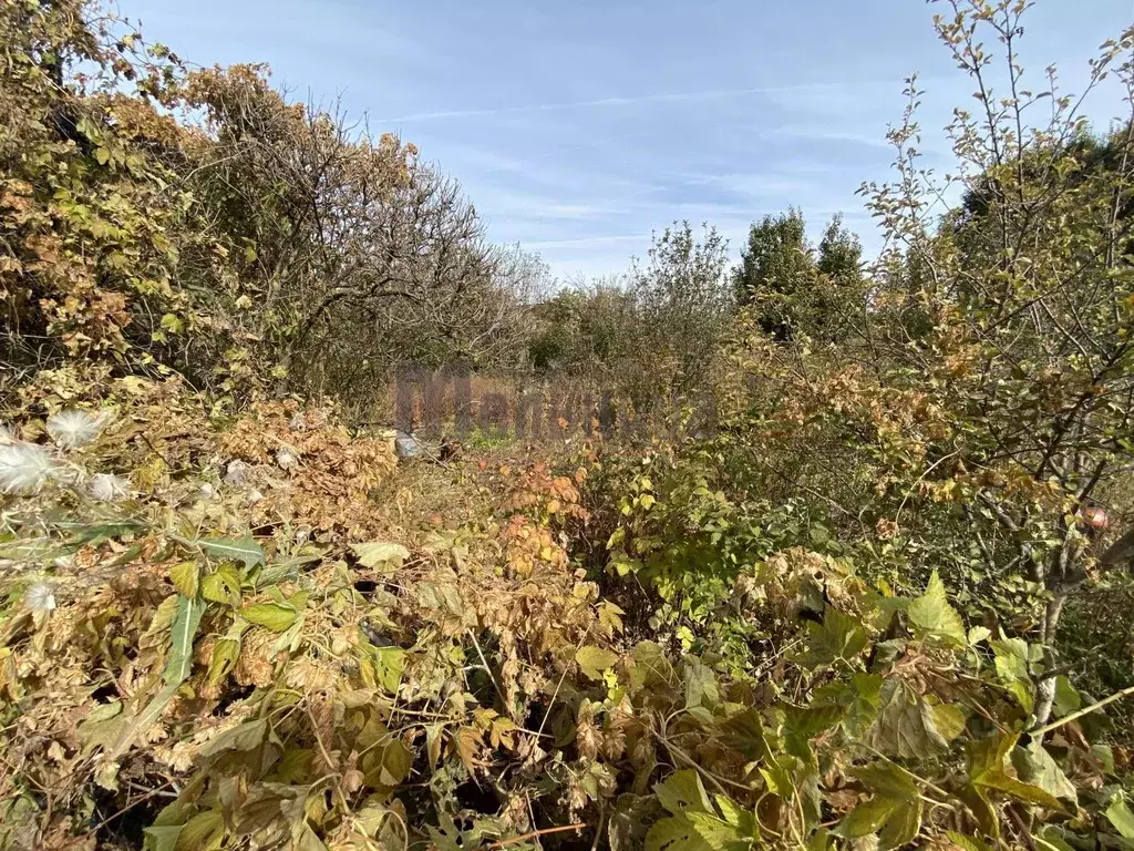 Участок в Волгоградская область, Волгоград Волжанин СНТ, 33 (6.0 сот.) - Фото 2