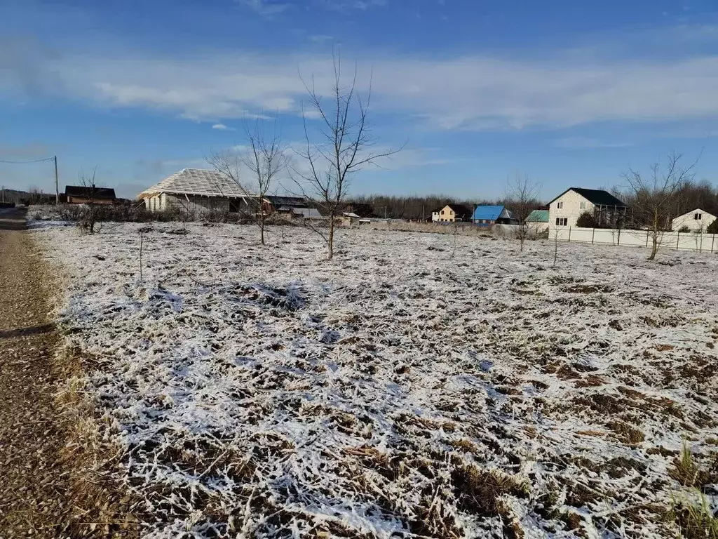 Участок в Смоленская область, Смоленский муниципальный округ, Борок кп ... - Фото 2