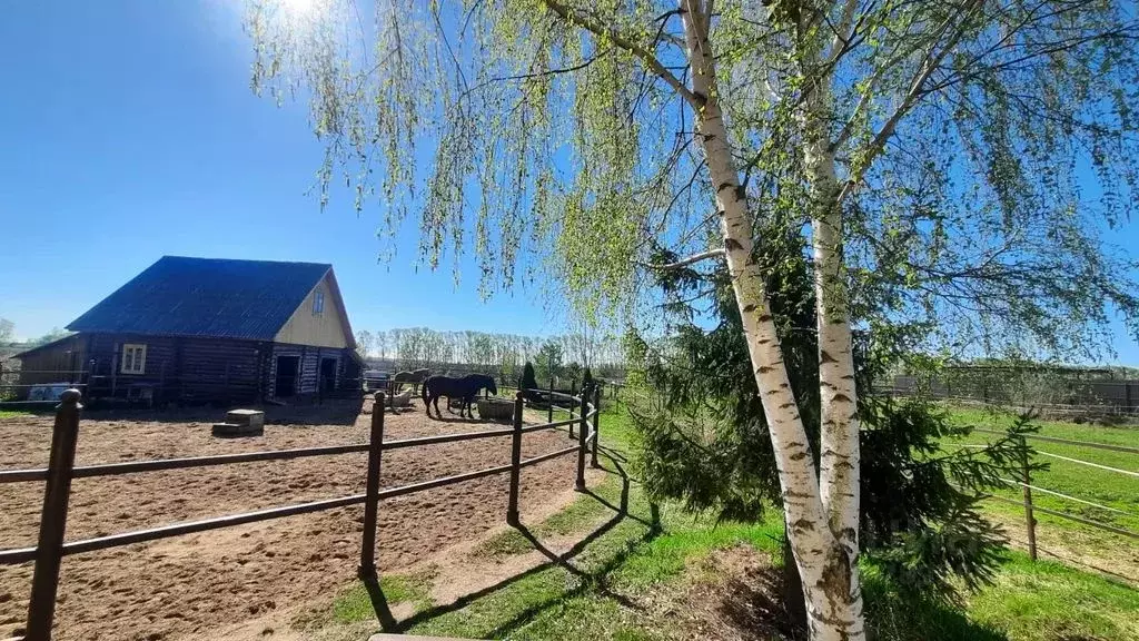 Дом в Владимирская область, Суздаль Новая ул., 14 (30 м) - Фото 1