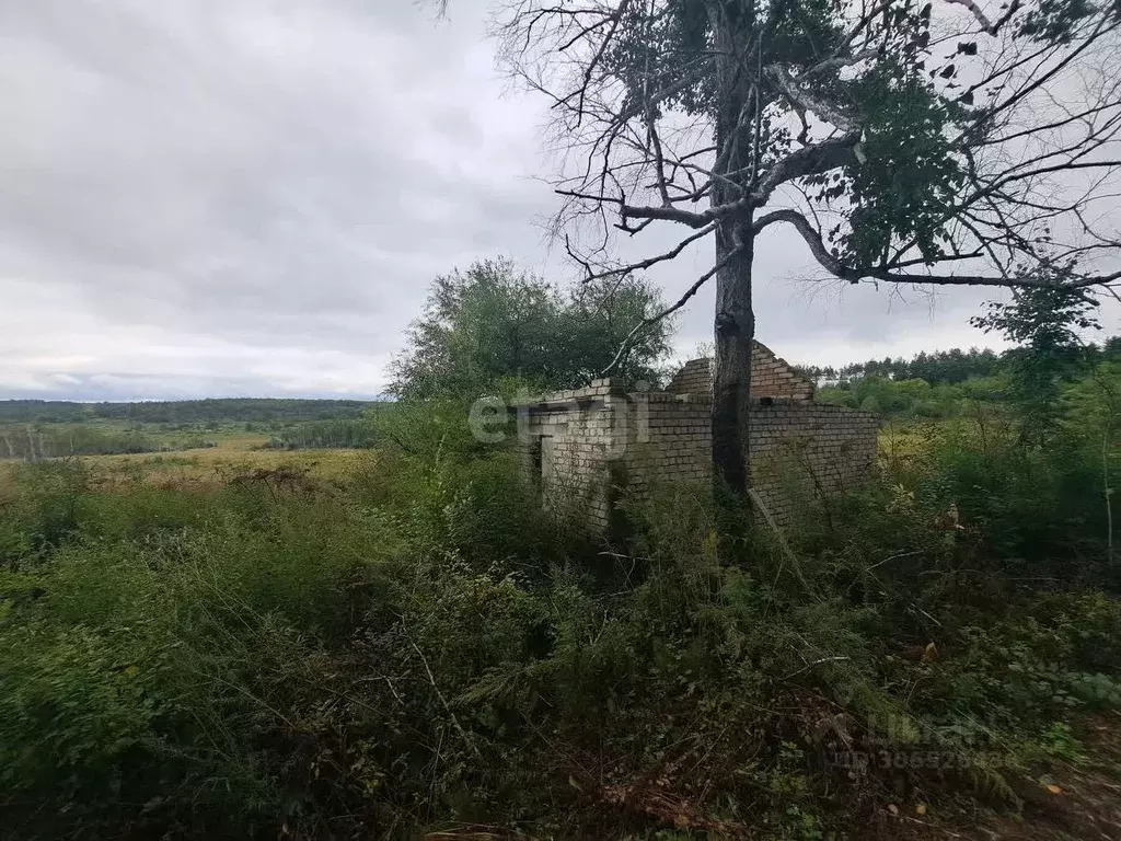 Участок в Амурская область, Благовещенск  (6.2 сот.) - Фото 1