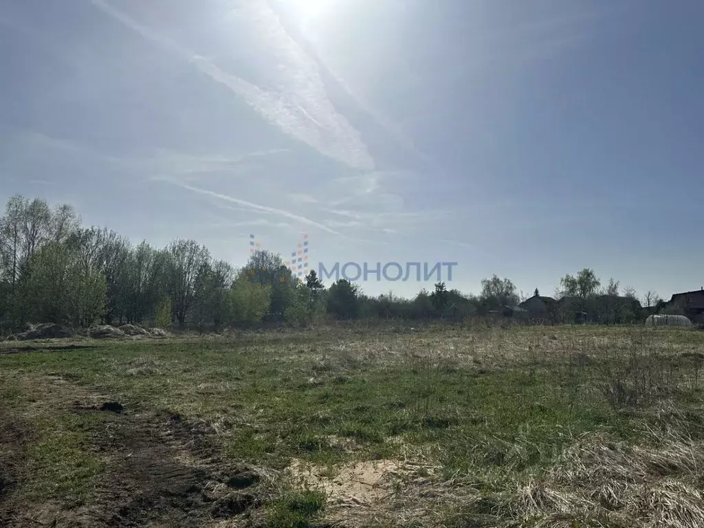Участок в Нижегородская область, Богородский муниципальный округ, д. ... - Фото 0