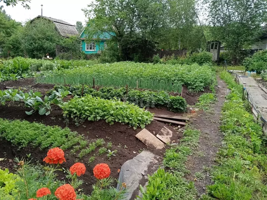 Дом в Свердловская область, Нижний Тагил Имени Тимирязева СНТ, (50.0 .,  Купить дом в Нижнем Тагиле, ID объекта - 50012682408