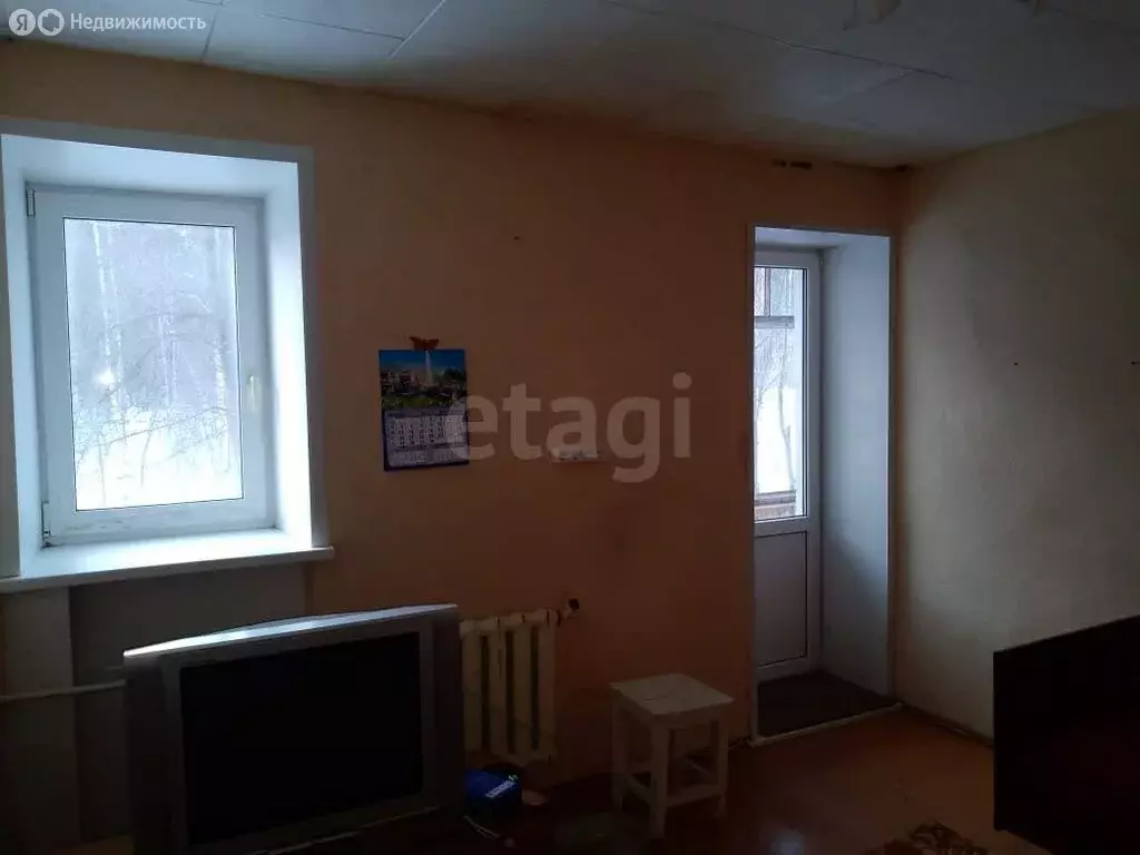 1-комнатная квартира: село Просвет, Новая улица, 4 (31.2 м) - Фото 2