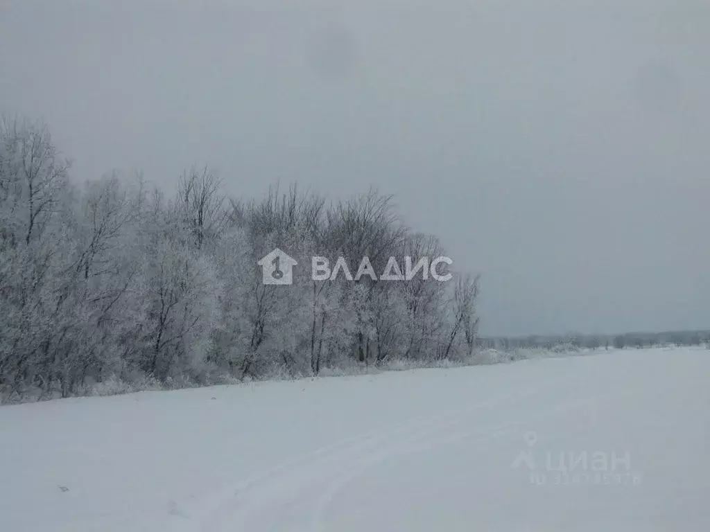 Участок в Ленинградская область, Гатчинский район, д. Таровицы ул. ... - Фото 1