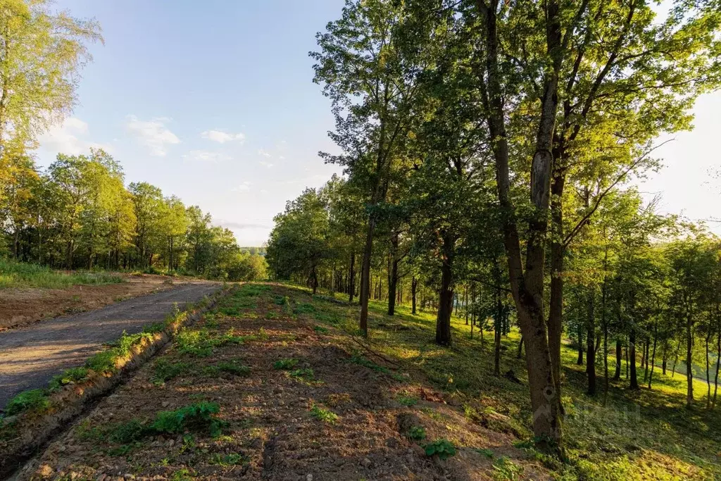 Участок в Московская область, Дмитровский муниципальный округ, д. ... - Фото 0