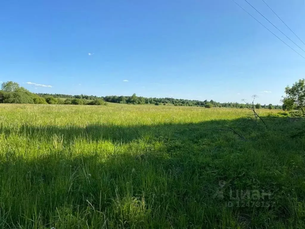 Купить Участок В Деревне Лужского Района