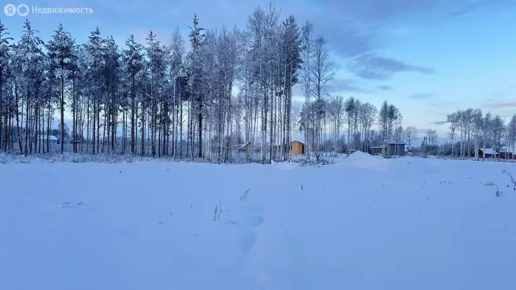 Участок в Архангельская область, Приморский муниципальный округ, ... - Фото 1