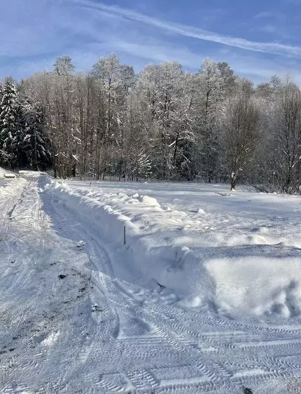Участок в Москва № 138 кв-л,  (30.0 сот.) - Фото 2