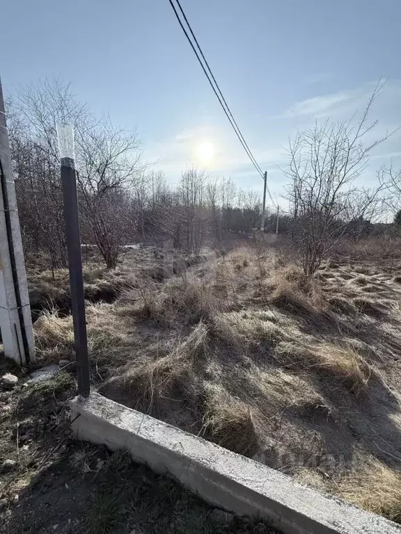 Участок в Калининградская область, Светлогорский городской округ, пос. ... - Фото 2