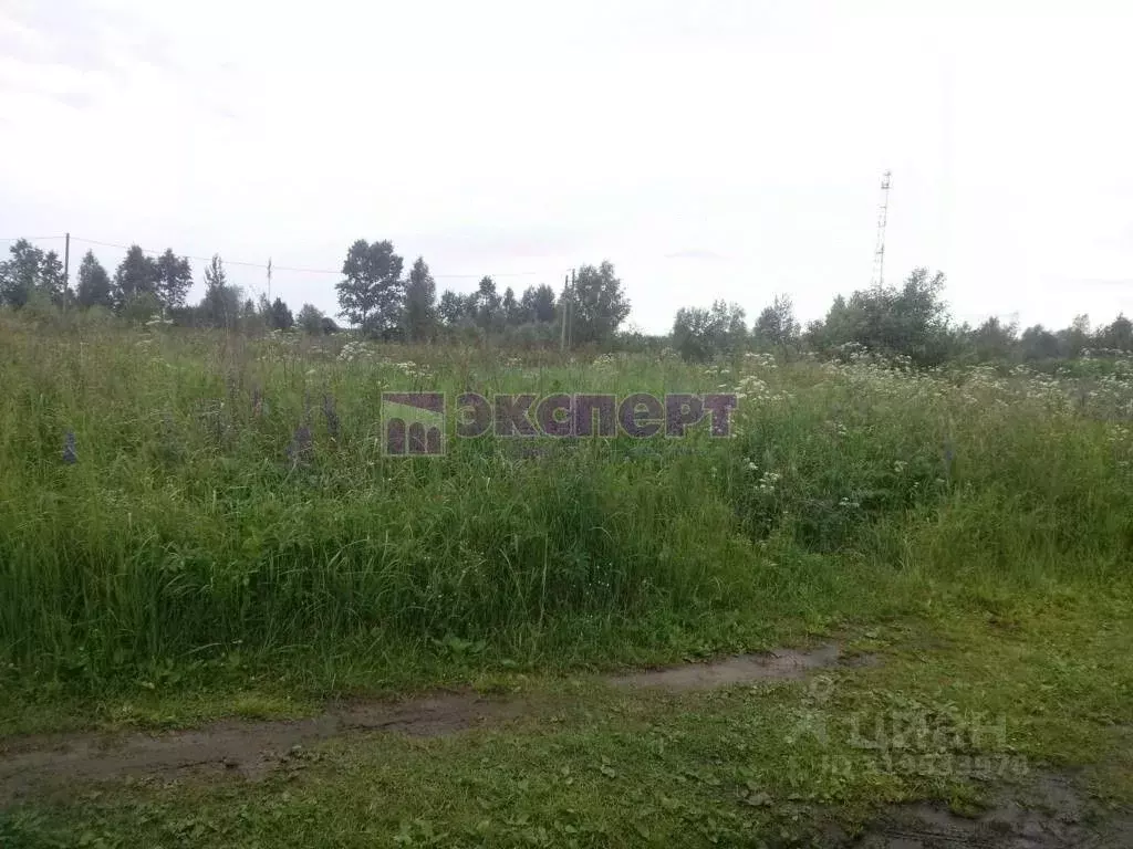 Участок в Тюменская область, Ялуторовский район, с. Хохлово ул. Мира ... - Фото 0