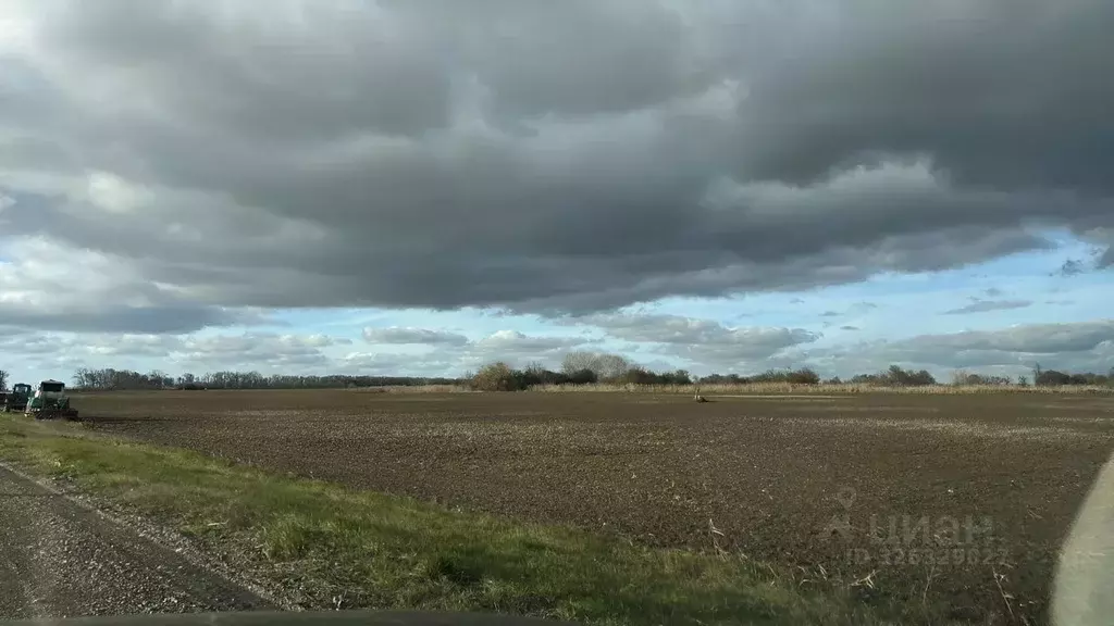 Участок в Краснодарский край, Славянский район А-289, 85-й км (69.0 ... - Фото 2