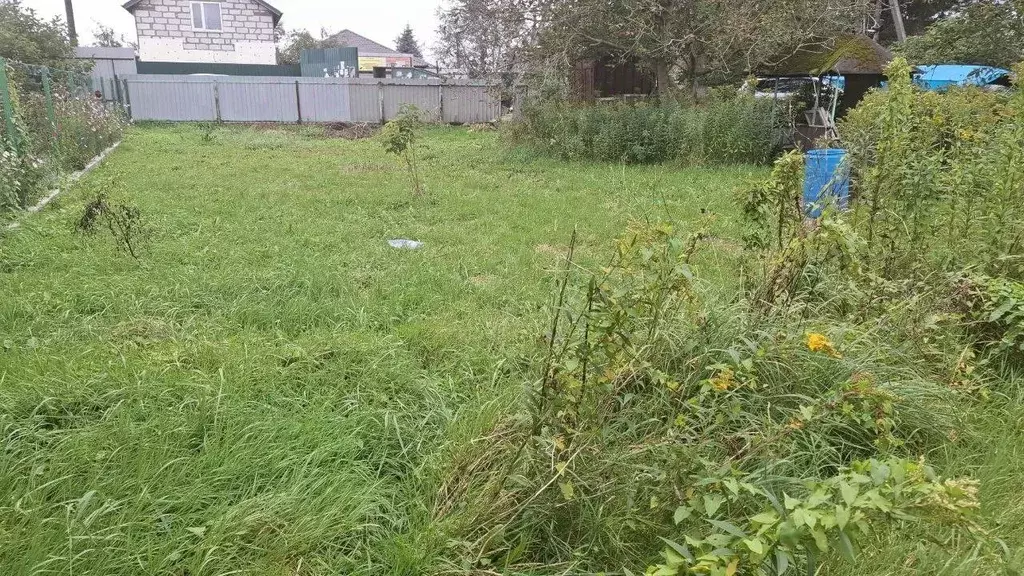 Участок в Калининградская область, Калининград Колосок СНТ, ул. ... - Фото 1