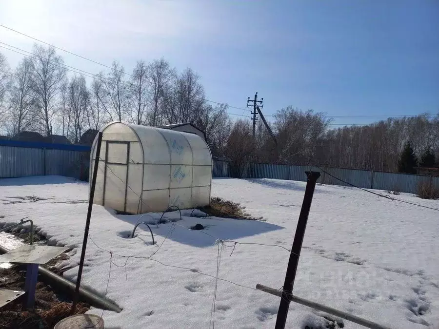 Участок в Новосибирская область, Новосибирский район, Мичуринский ... - Фото 0