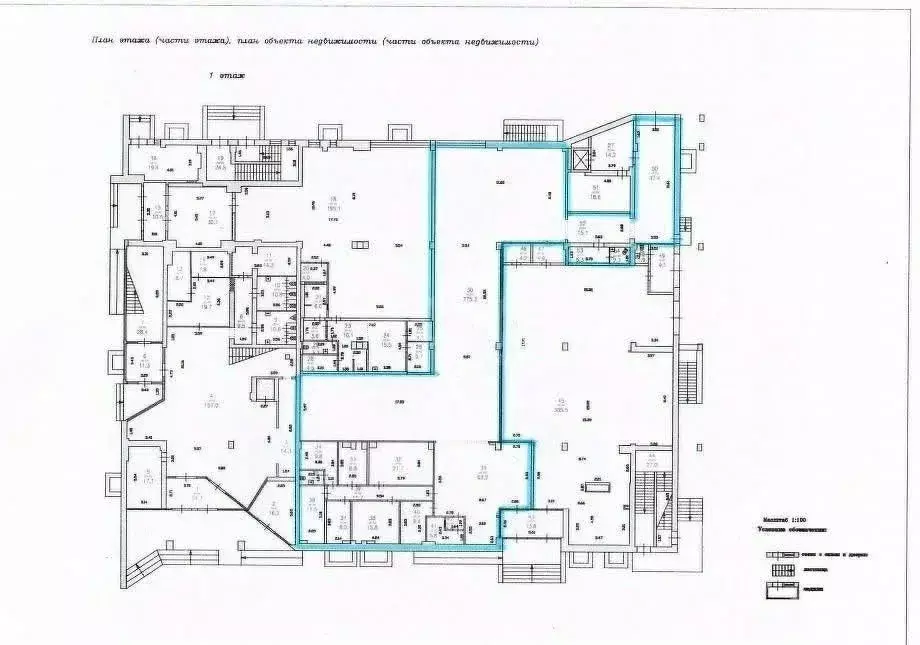 Торговая площадь в Нижегородская область, Нижний Новгород ул. ... - Фото 2