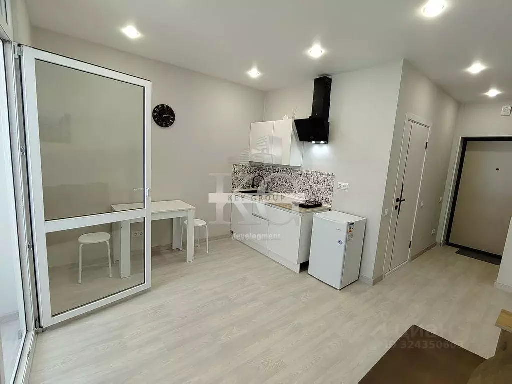 Студия Свердловская область, Екатеринбург ул. Репина, 109 (25.0 м) - Фото 2