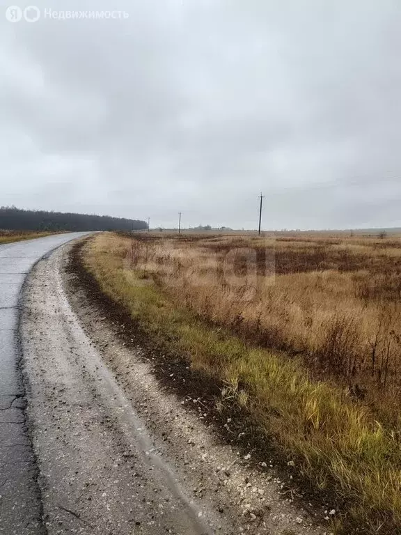 Участок в село Пермиси, Московская улица (15 м) - Фото 1